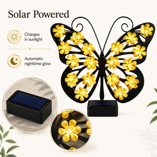 Solar Butterfly Lights